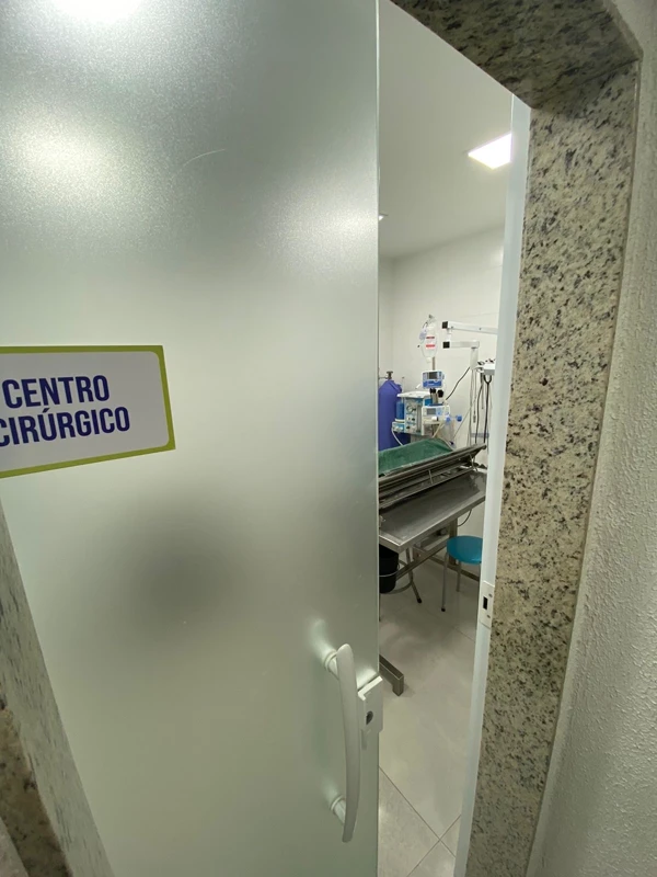 Centro Cirúrgico — Cães & Gatos Clínica Veterinária