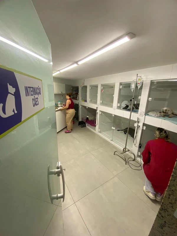 Internação Canina — Cães & Gatos Clínica Veterinária