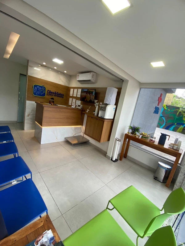 Recepção — Cães & Gatos Clínica Veterinária